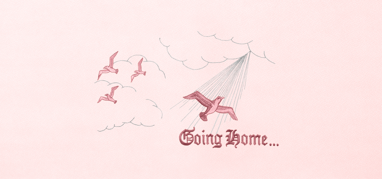 Going Home Pink Pink Faux